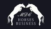 Tutti i business intorno al cavallo